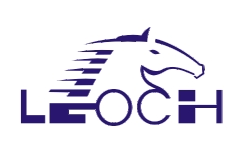 Leoch Battery Technology Co. Ltd